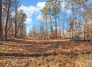 A SLICE OF BEAUTIFUL NORTH GEORGIA COUNTRYSIDE PARADISE