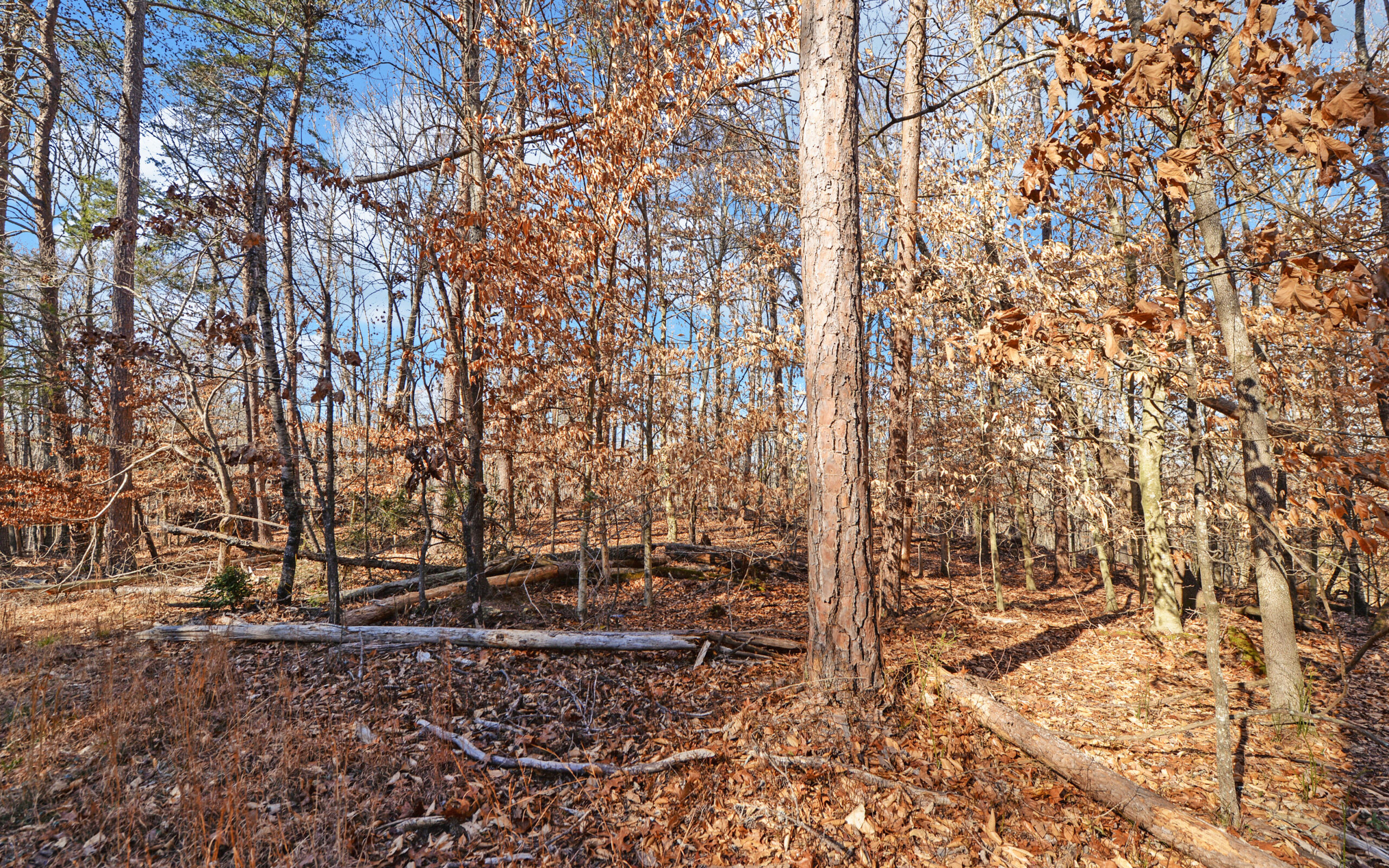A SLICE OF BEAUTIFUL NORTH GEORGIA COUNTRYSIDE PARADISE