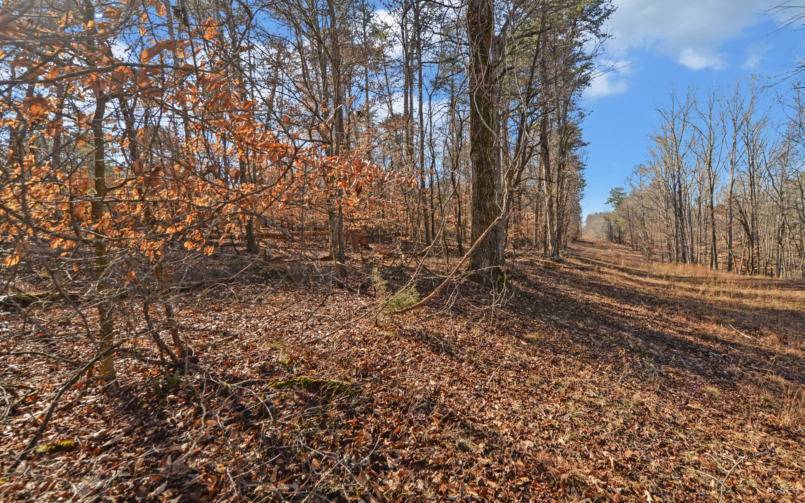 A SLICE OF BEAUTIFUL NORTH GEORGIA COUNTRYSIDE PARADISE