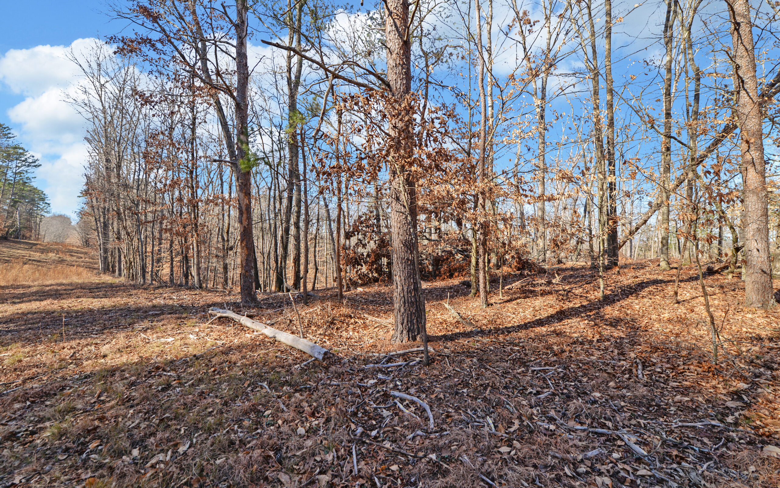 A SLICE OF BEAUTIFUL NORTH GEORGIA COUNTRYSIDE PARADISE