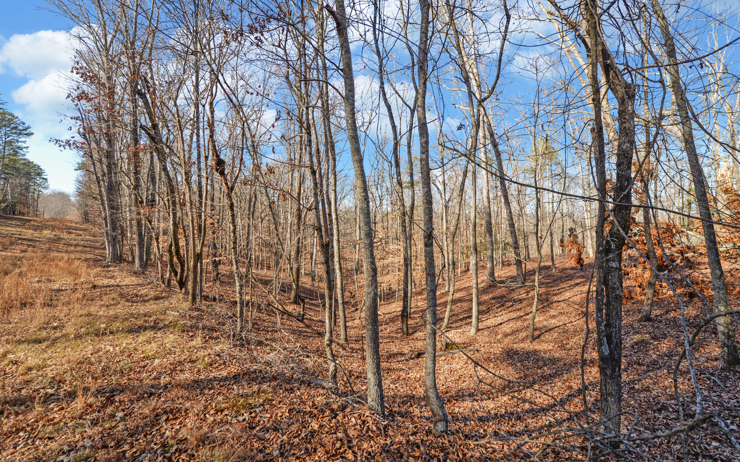 A SLICE OF BEAUTIFUL NORTH GEORGIA COUNTRYSIDE PARADISE