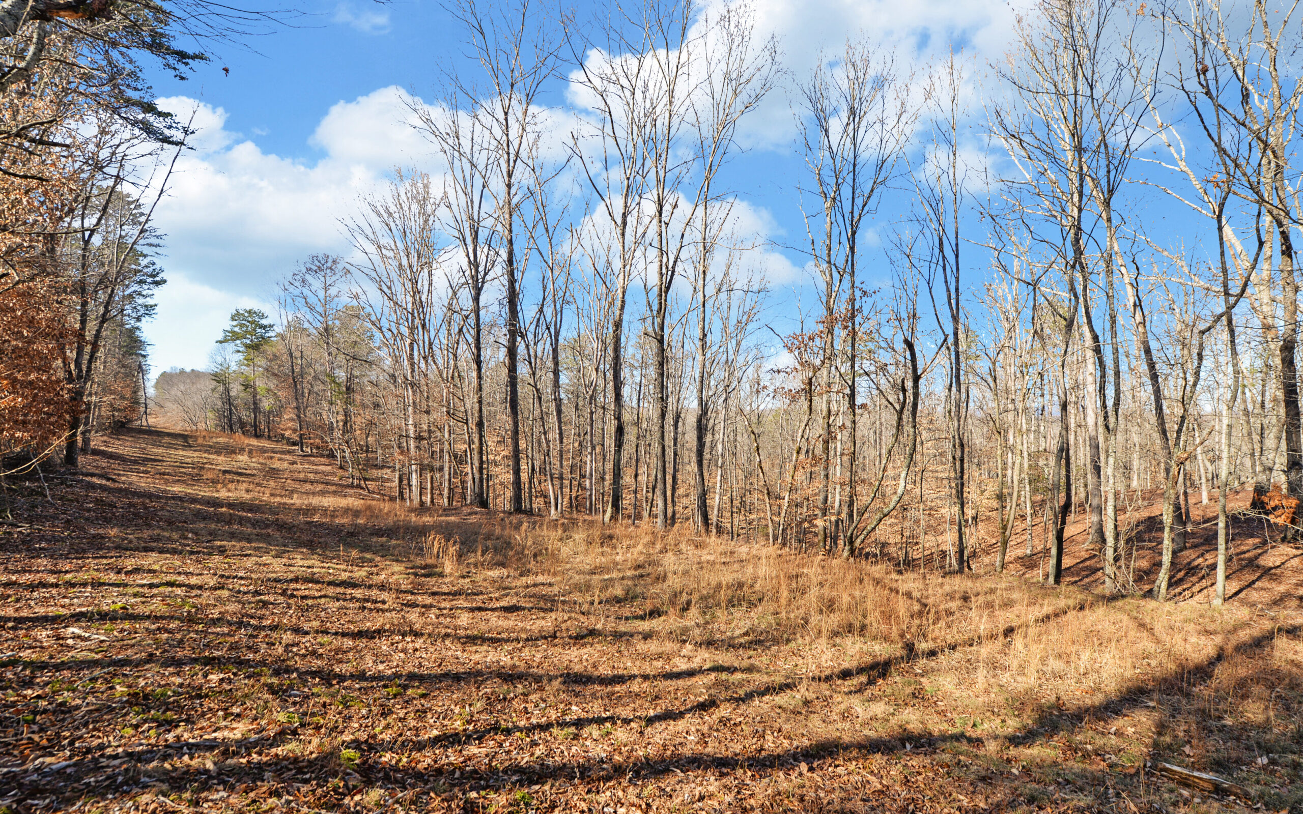 A SLICE OF BEAUTIFUL NORTH GEORGIA COUNTRYSIDE PARADISE