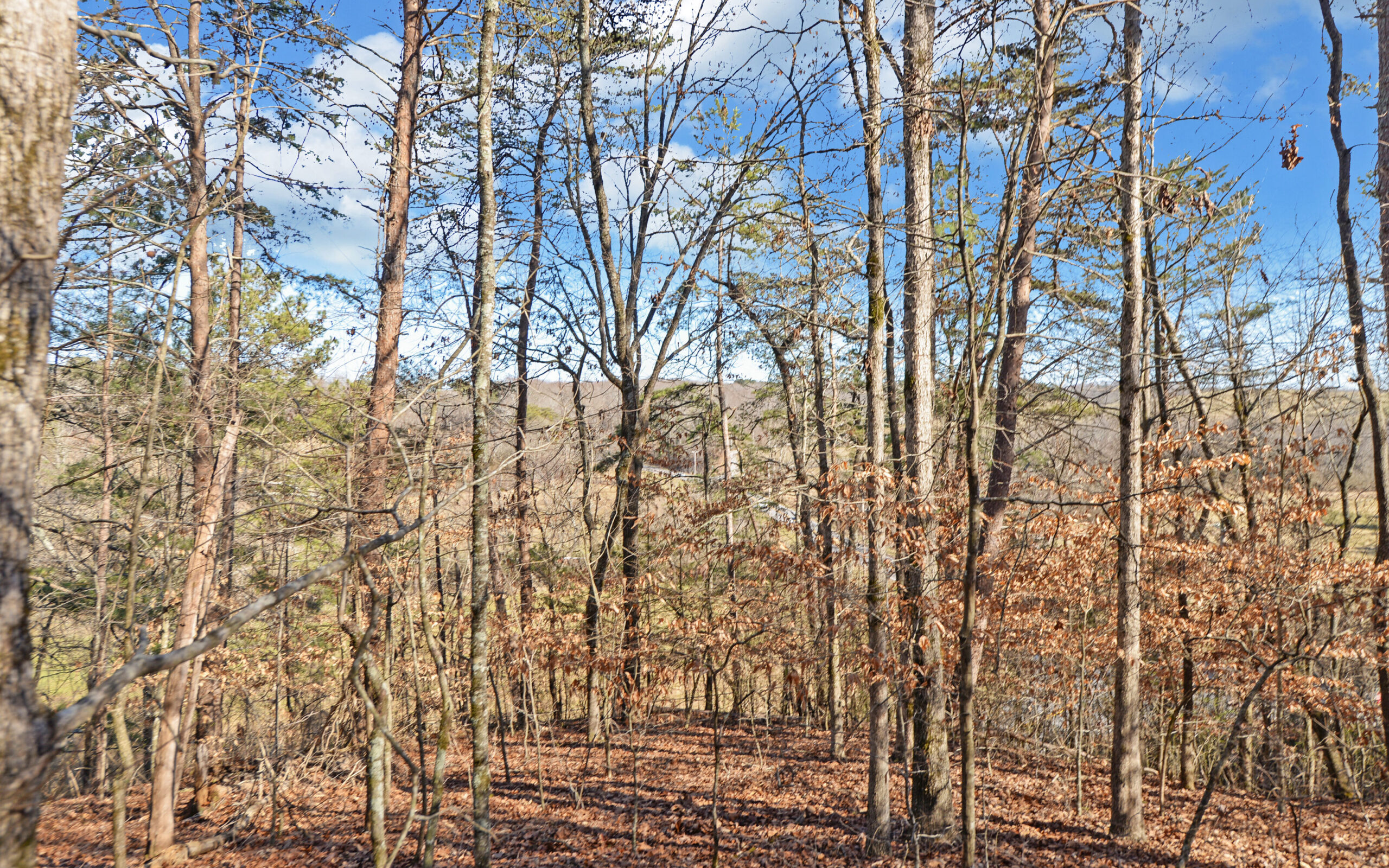 A SLICE OF BEAUTIFUL NORTH GEORGIA COUNTRYSIDE PARADISE