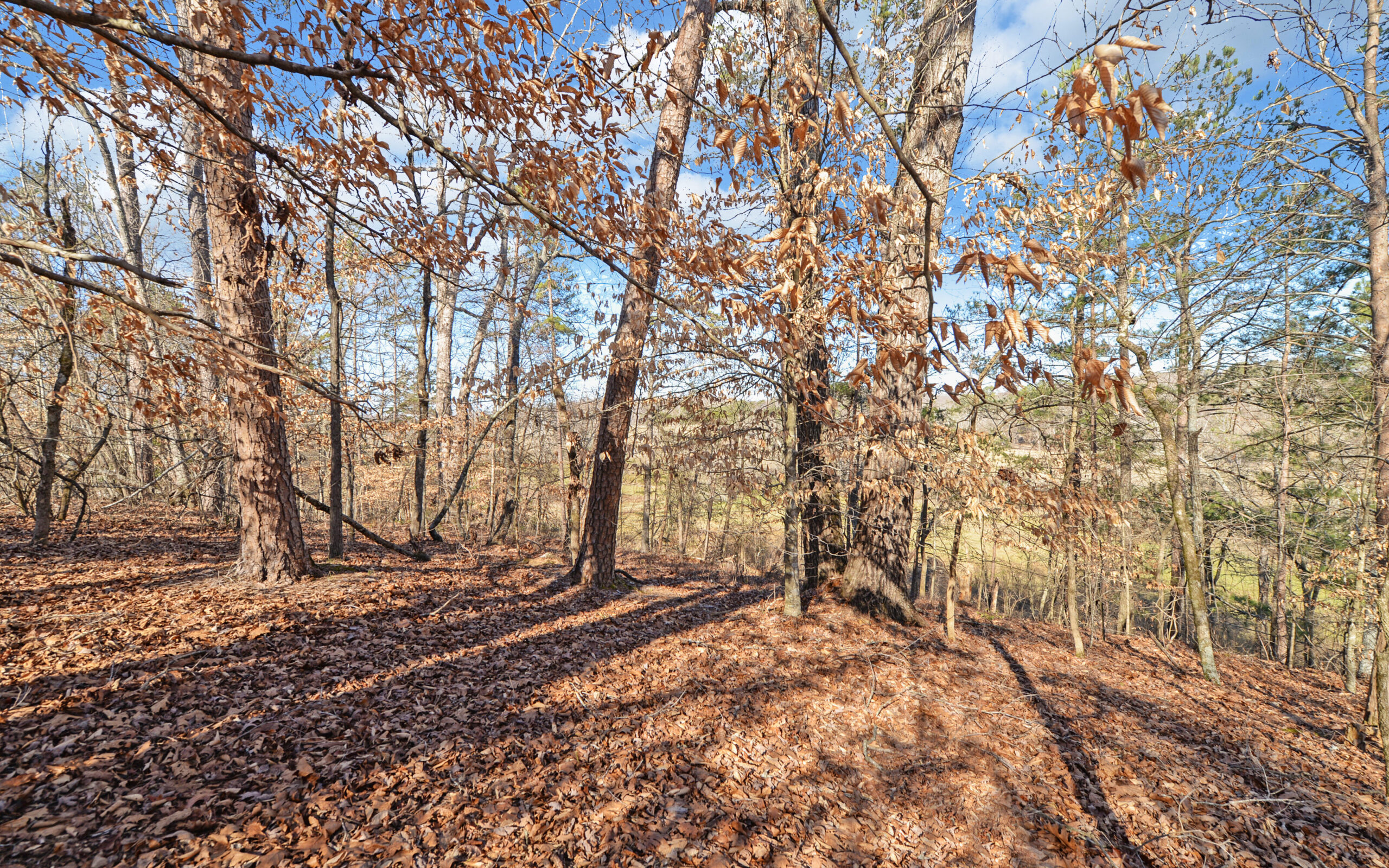 A SLICE OF BEAUTIFUL NORTH GEORGIA COUNTRYSIDE PARADISE