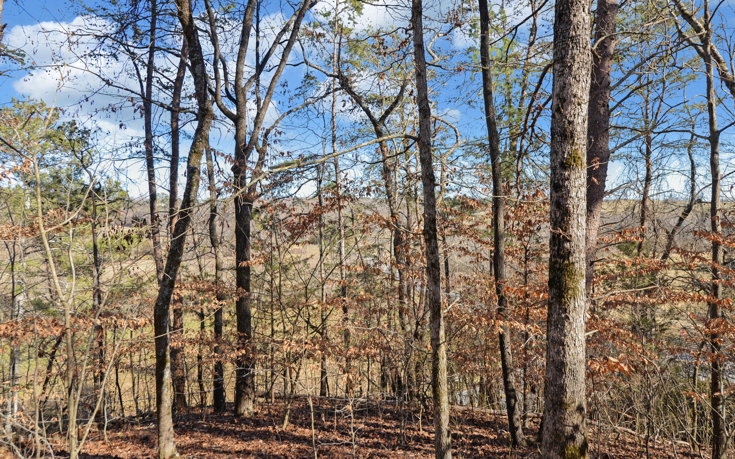 A SLICE OF BEAUTIFUL NORTH GEORGIA COUNTRYSIDE PARADISE