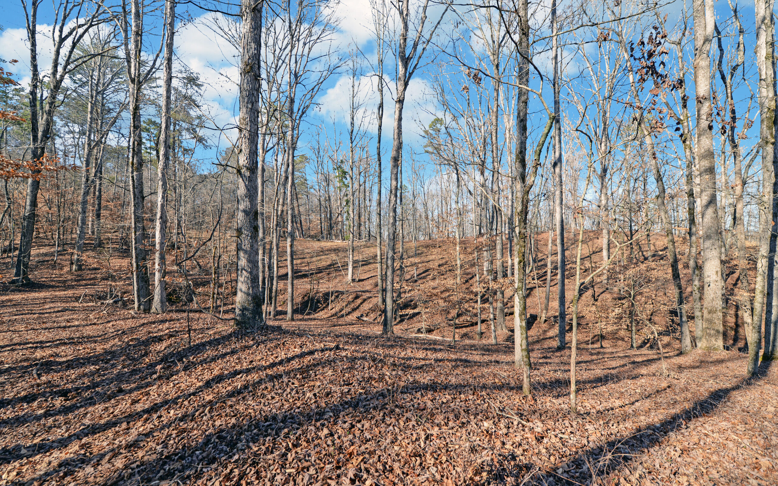 A SLICE OF BEAUTIFUL NORTH GEORGIA COUNTRYSIDE PARADISE