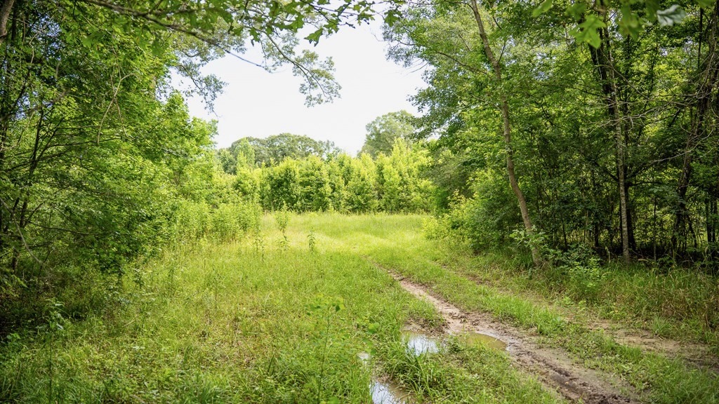 East Baton Rouge Recreational Land for Sale