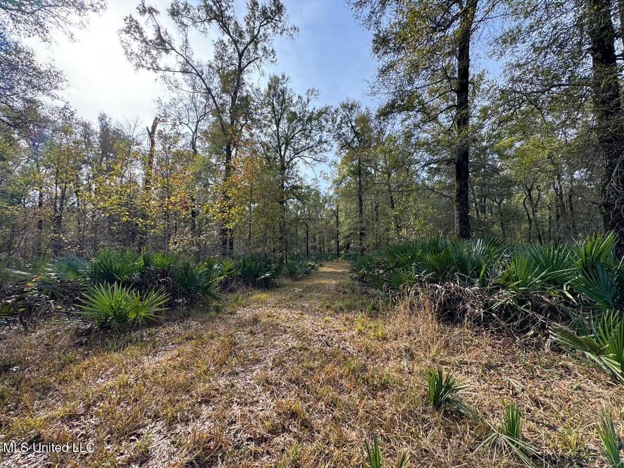 Tensas Parish LA – The Glade Hunting Property