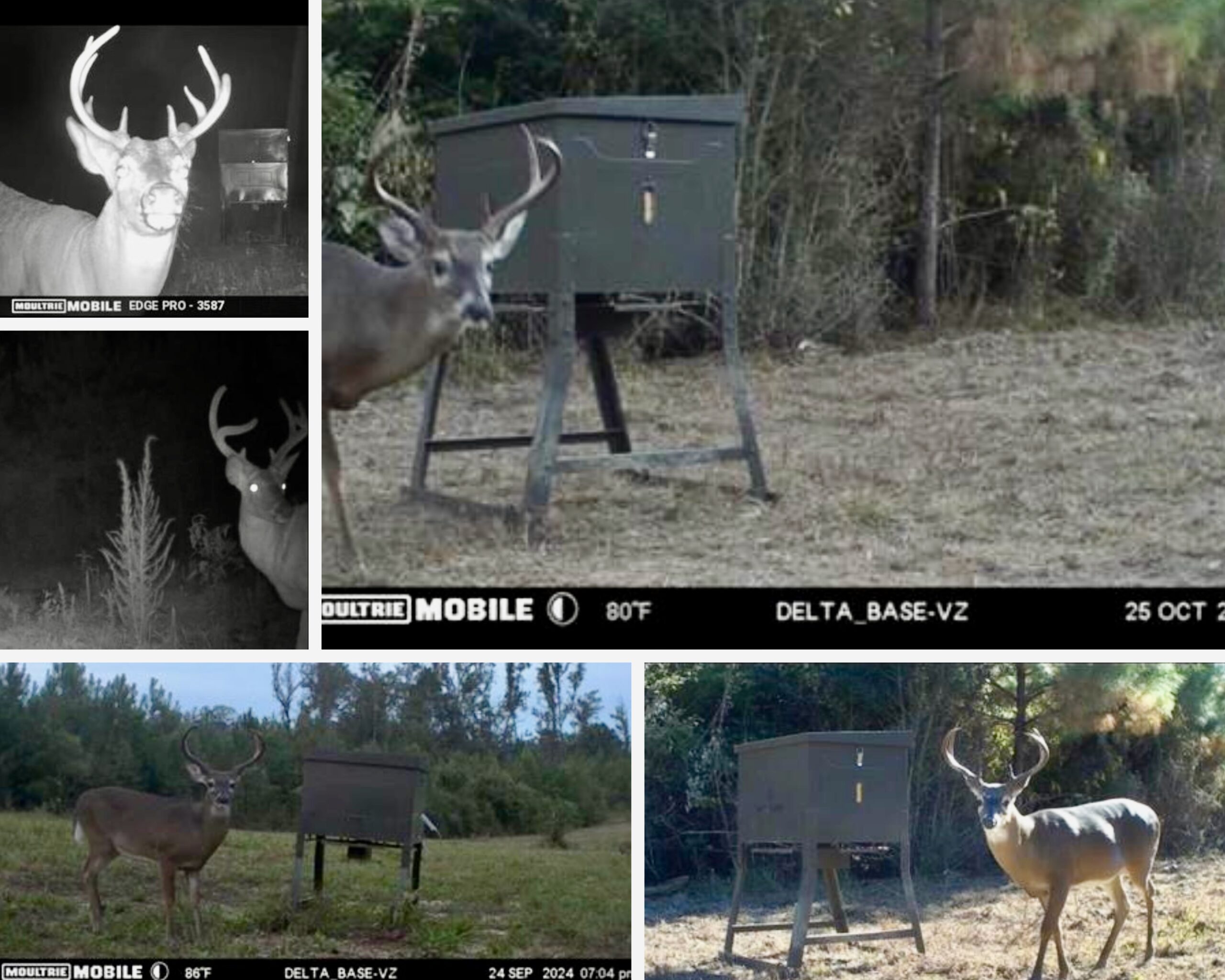 Mississippi Hunting Land – Easy 88 in Magnolia/Osyka