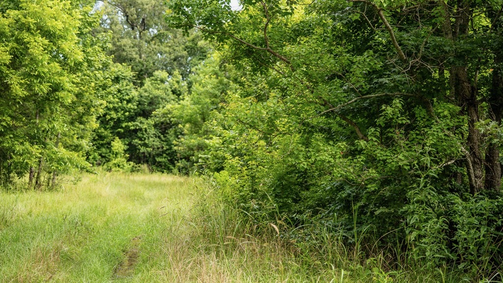 East Baton Rouge Recreational Land for Sale