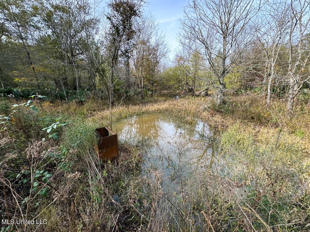 Tensas Parish LA – The Glade Hunting Property
