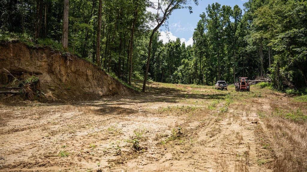 Hunting Land in Claiborne County, MS – Lonesome Pine