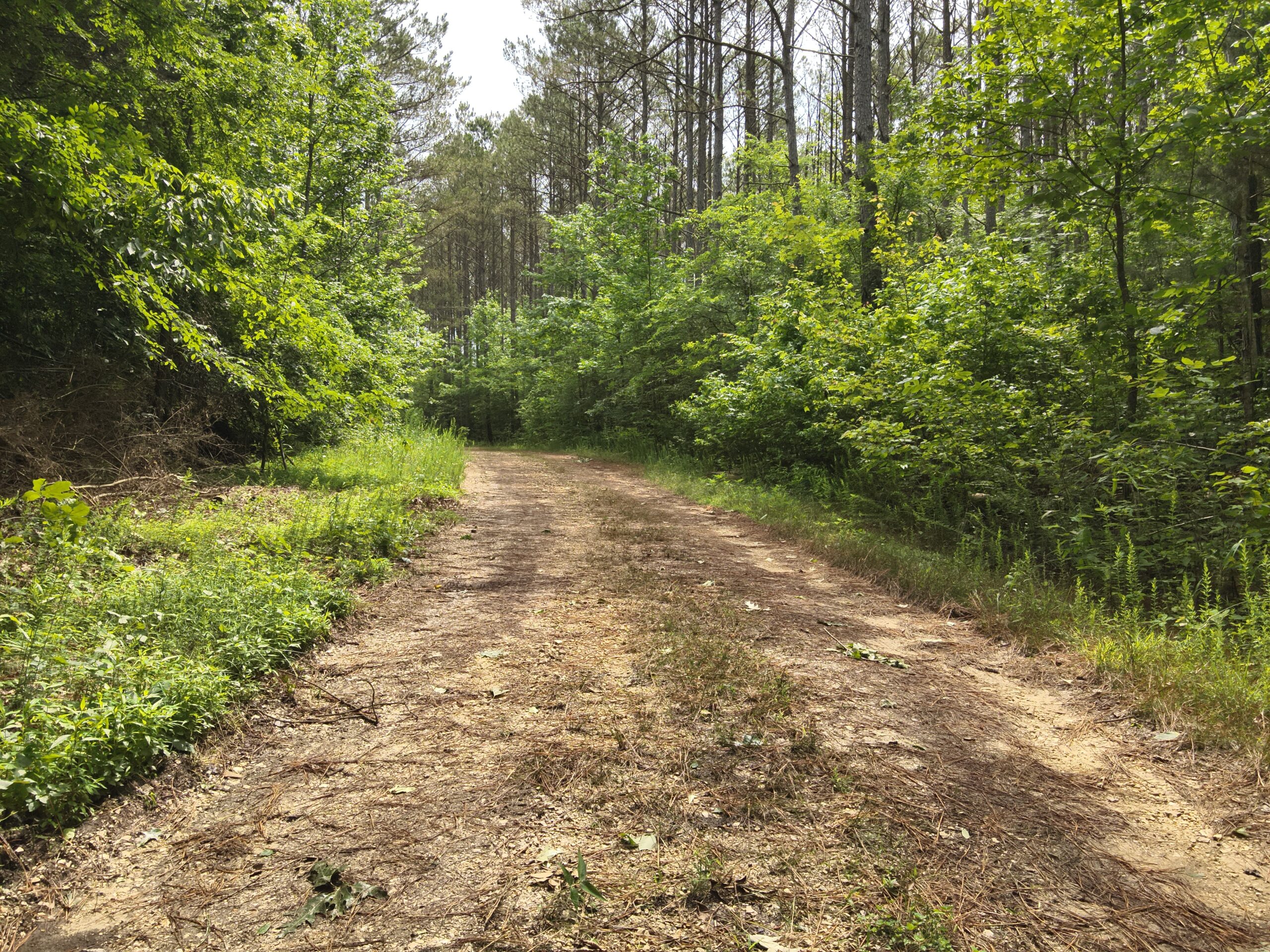 65.84 Acres for Sale in Decaturville, Tennessee
