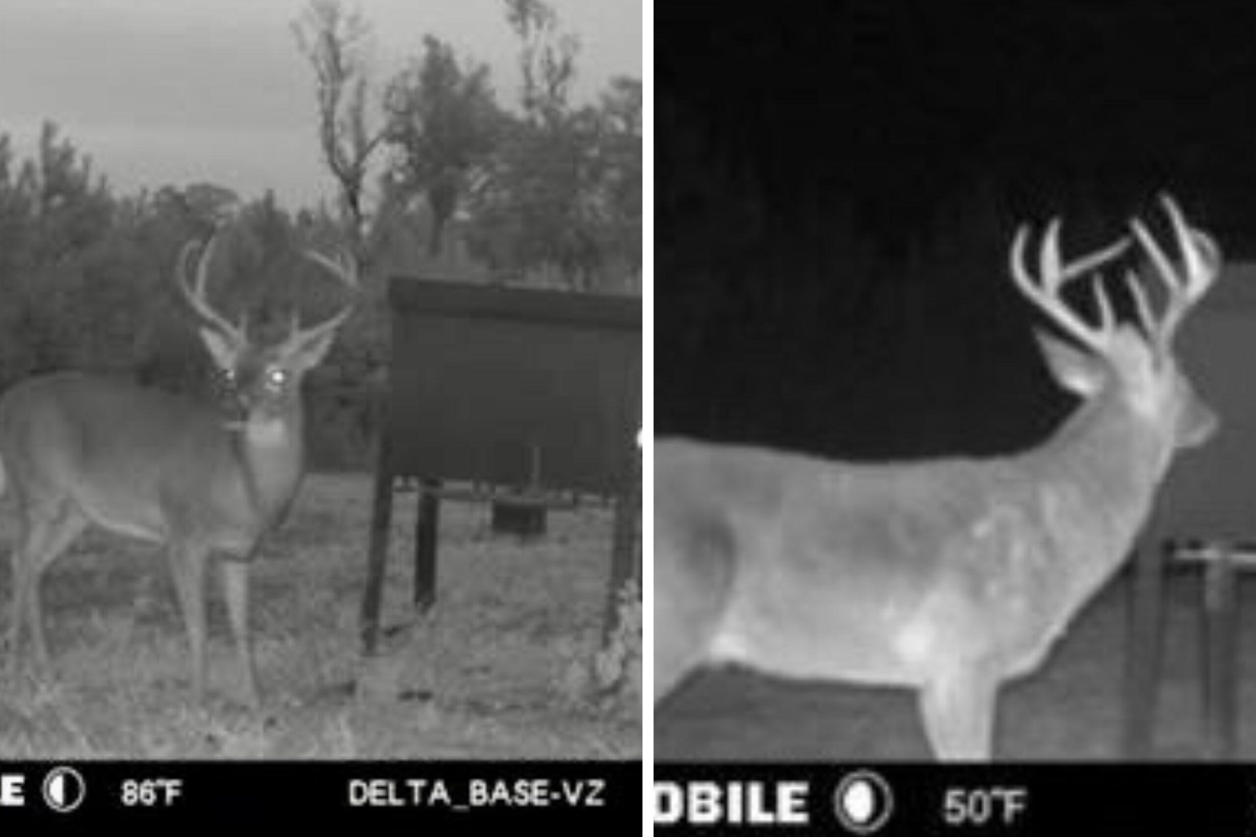 Mississippi Hunting Land – Easy 88 in Magnolia/Osyka