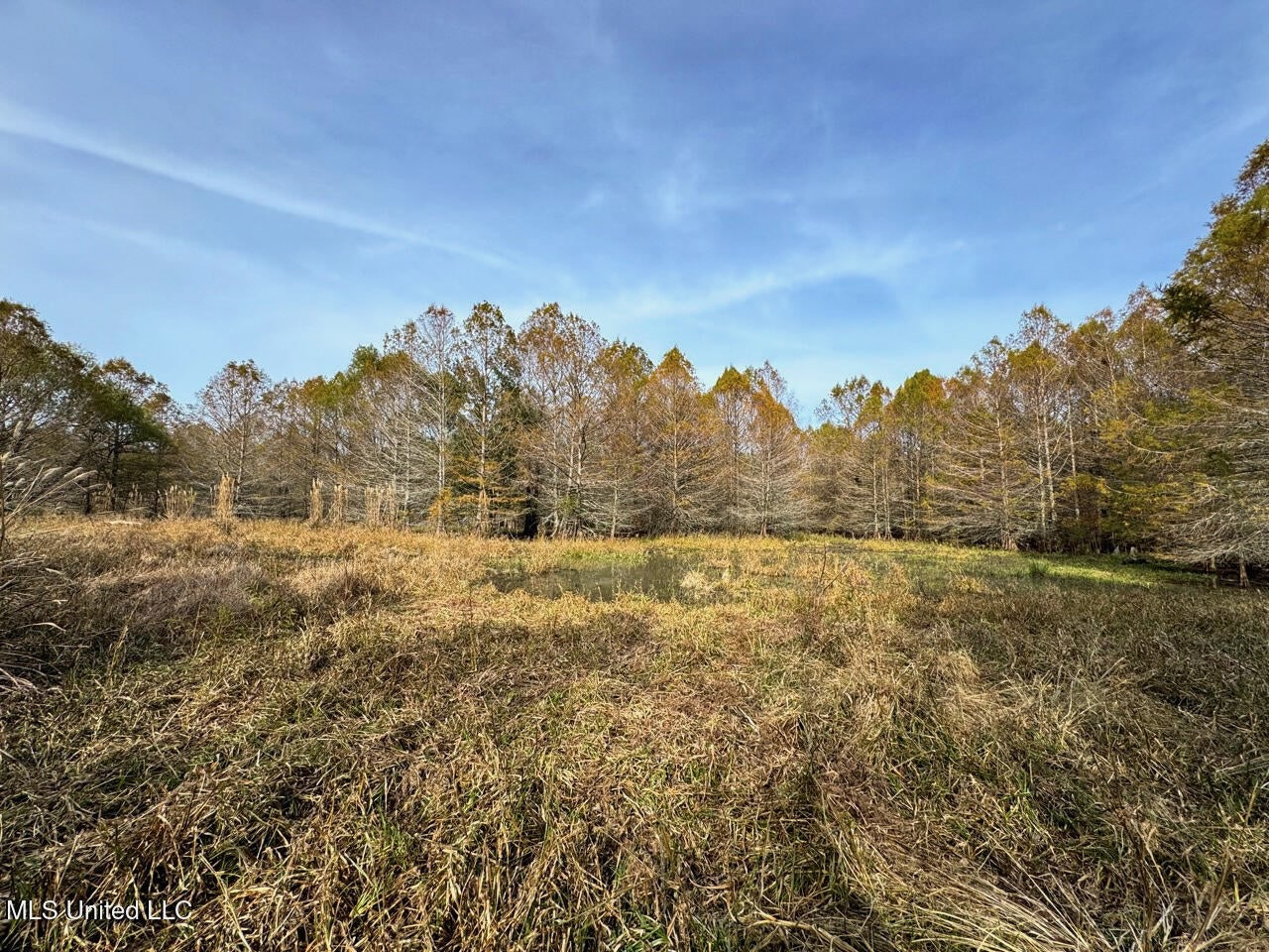 Tensas Parish LA – The Glade Hunting Property