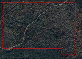 182+ Acres of Whitetail Paradise in Jefferson, TX