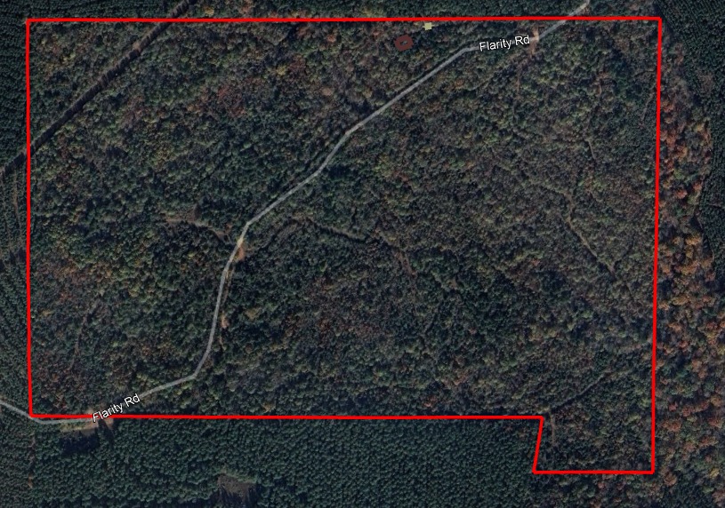 182+ Acres of Whitetail Paradise in Jefferson, TX