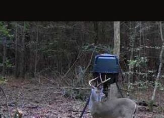182+ Acres of Whitetail Paradise in Jefferson, TX