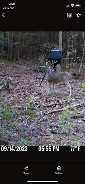 182+ Acres of Whitetail Paradise in Jefferson, TX