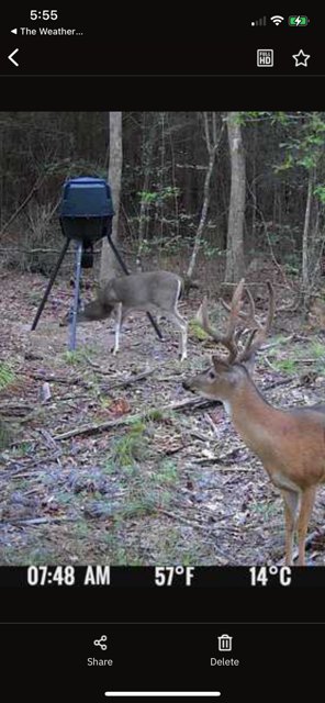 182+ Acres of Whitetail Paradise in Jefferson, TX
