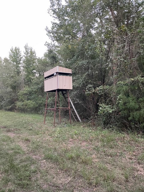 182+ Acres of Whitetail Paradise in Jefferson, TX