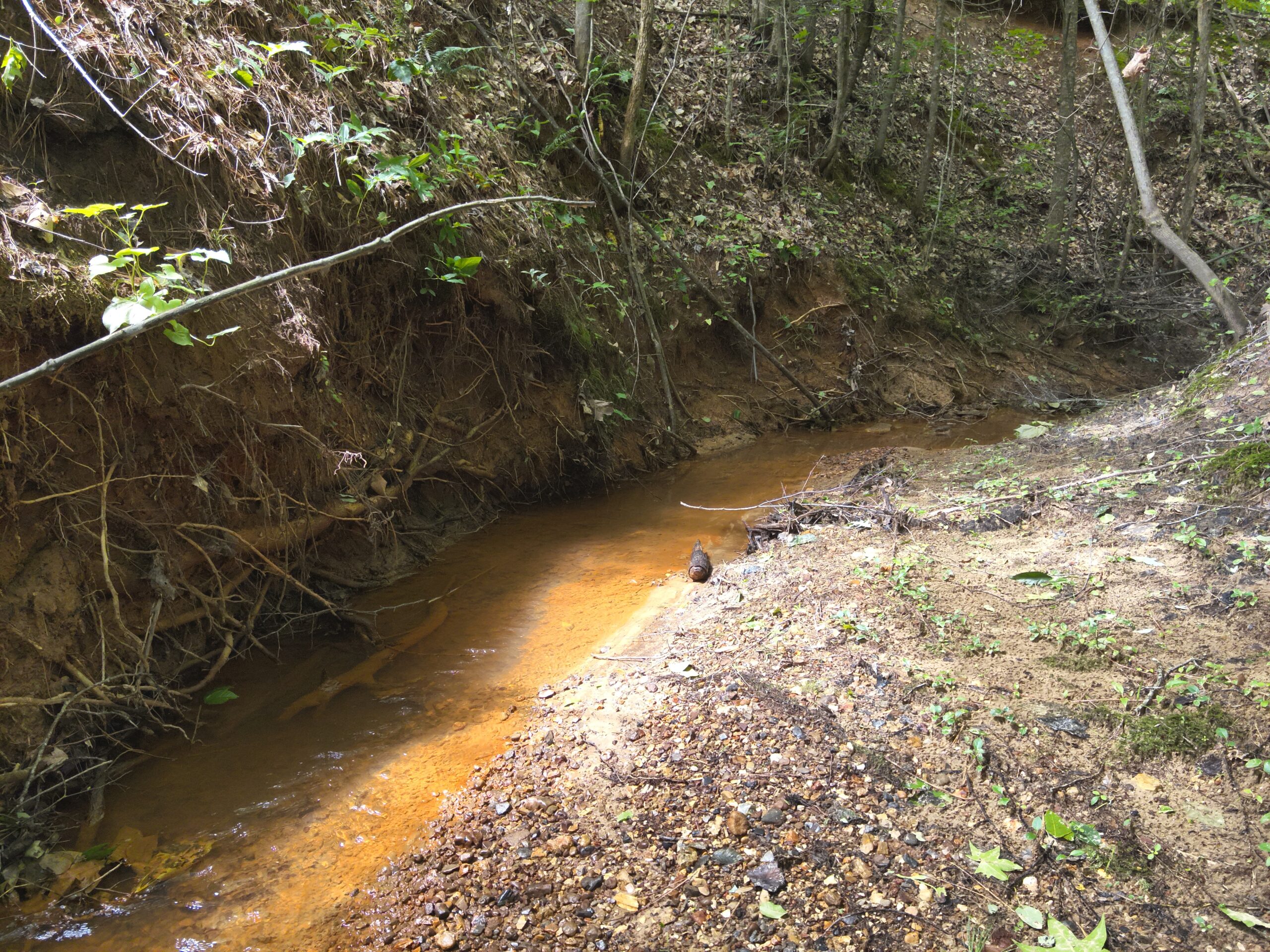 65.84 Acres for Sale in Decaturville, Tennessee