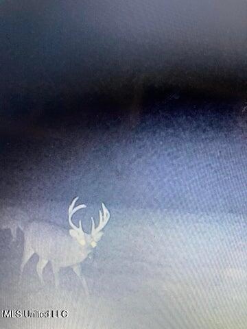 60 Acres For Sale In Yazoo County, MS