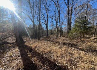 Great Homesite and Hunting Tract in Hermanville, MS
