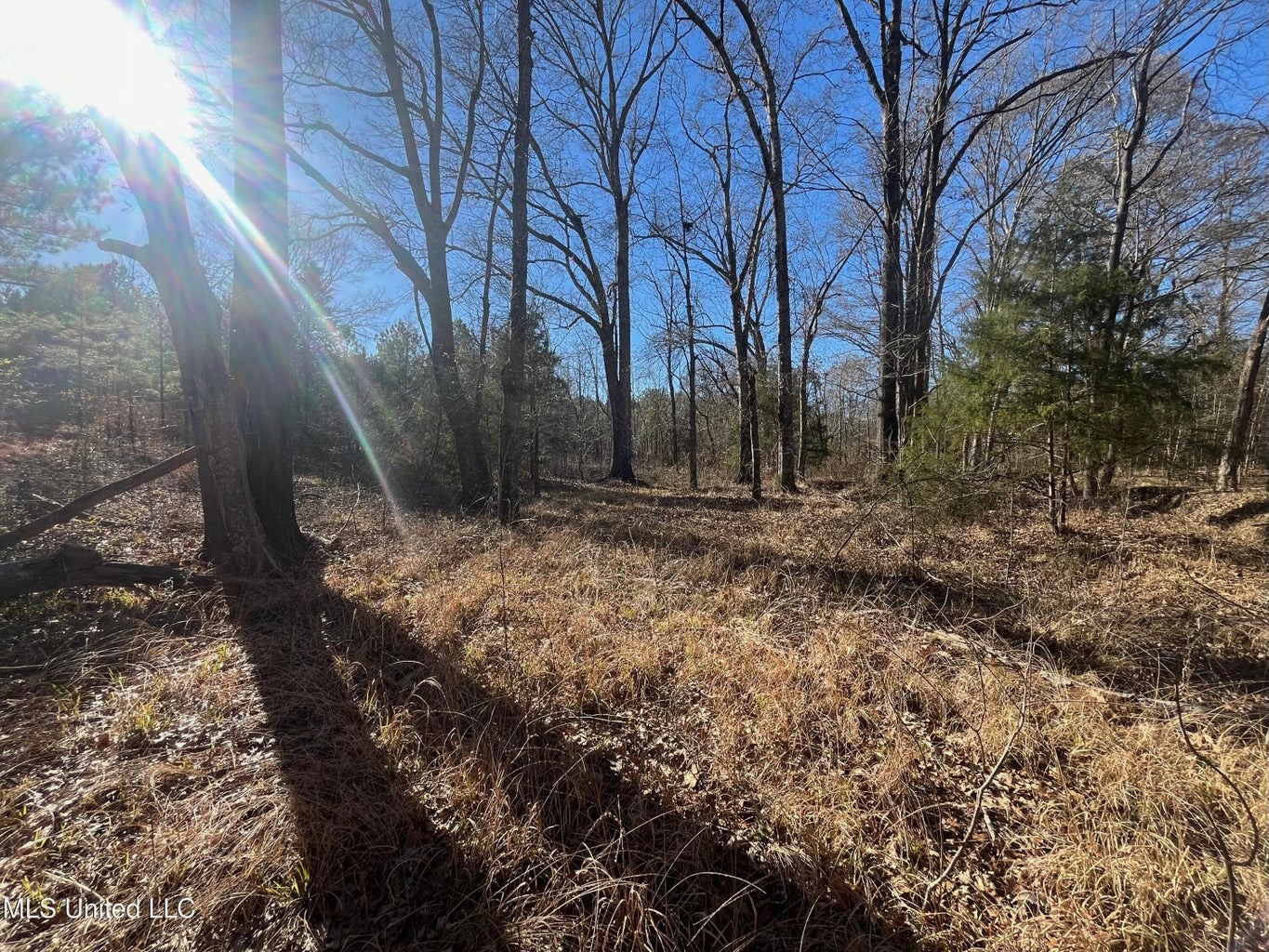 Great Homesite and Hunting Tract in Hermanville, MS