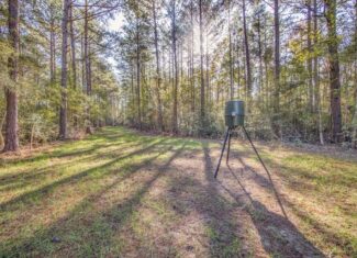 Land For Sale in Amite County, MS