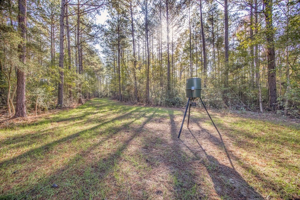 Land For Sale in Amite County, MS