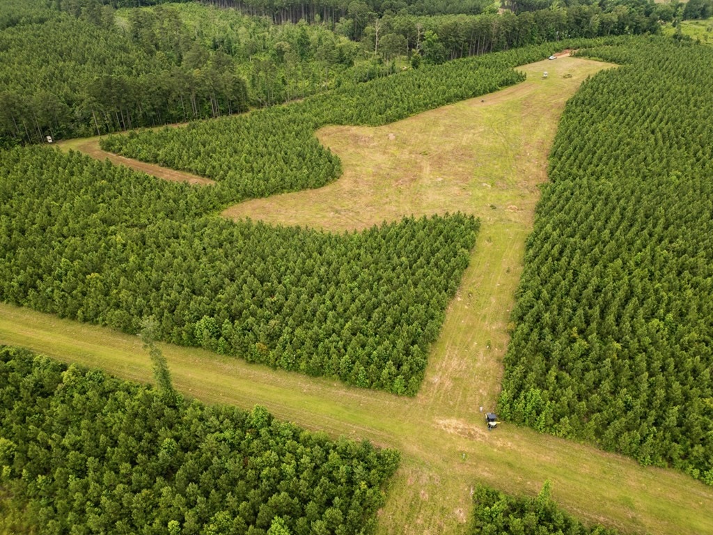 Mississippi Hunting Land – Easy 88 in Magnolia/Osyka