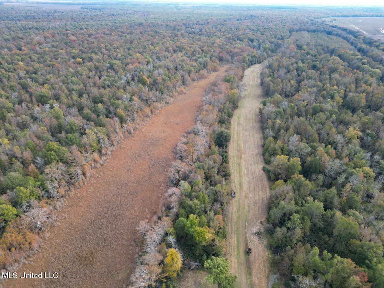 Tensas Parish LA – The Glade Hunting Property