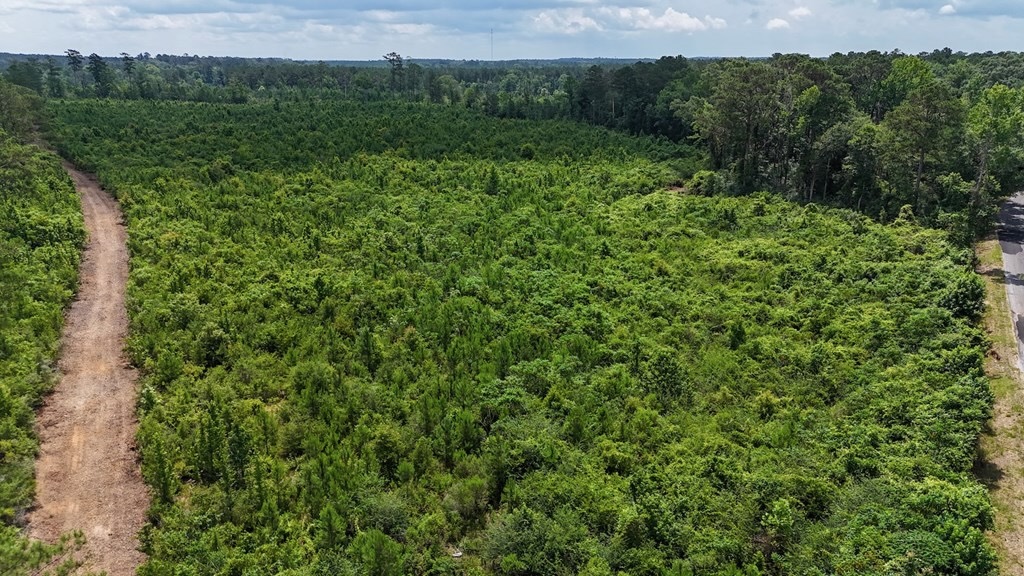 Small Hunting Tract FOR SALE in Amite County, MS