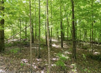 28+- Acres for Sale in Natchez, MS