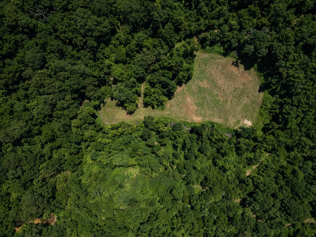 Hunting Land in Claiborne County, MS – Lonesome Pine