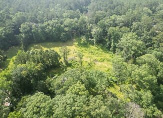 Clinton 30 Acres for Sale – Rural Land Near Baton Rouge, LA