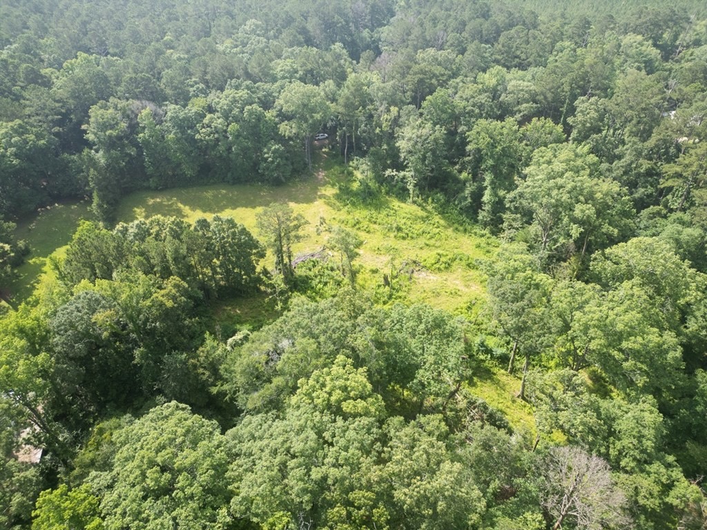 Clinton 30 Acres for Sale – Rural Land Near Baton Rouge, LA