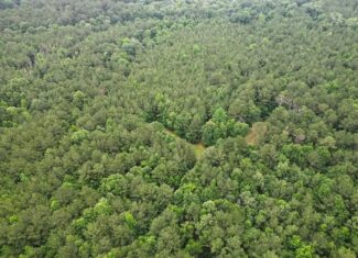 Hunting Land Near Homochitto National Forest, MS