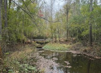 Land on the Tangipahoa River in Pike County, MS