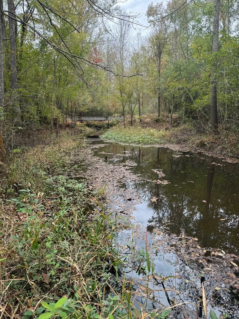Land on the Tangipahoa River in Pike County, MS