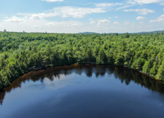Lakefront Land for Sale – 12.52 Acres with 355 Feet of Shoreline