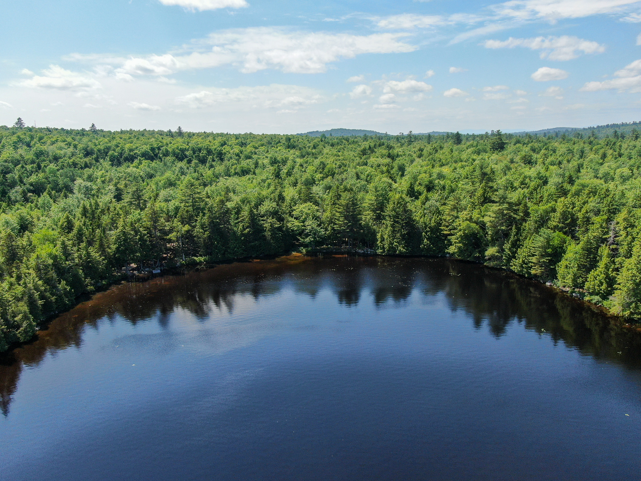 Lakefront Land for Sale – 12.52 Acres with 355 Feet of Shoreline