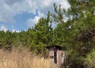 52 Acre Homesite Madison County Camden, MS