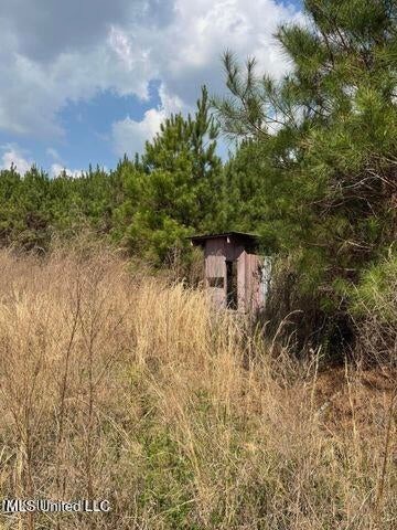 52 Acre Homesite Madison County Camden, MS