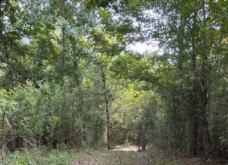 60 Acres For Sale In Yazoo County, MS