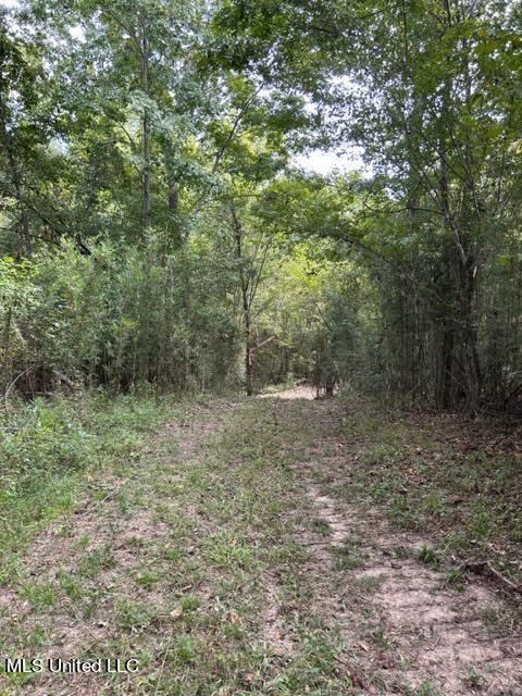 60 Acres For Sale In Yazoo County, MS