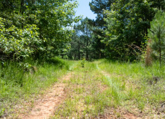 East Texas Recreational Ranch Winona TX East of DFW