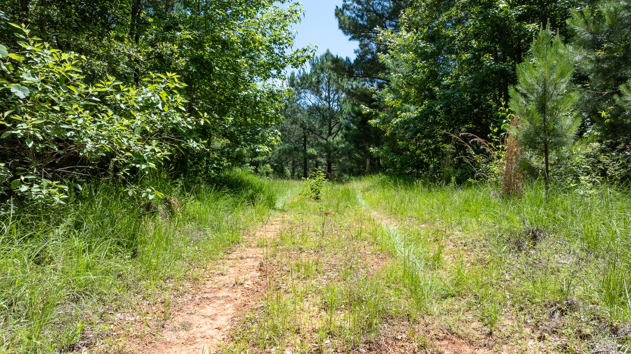 East Texas Recreational Ranch Winona TX East of DFW