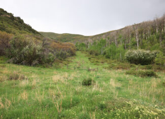 Colorado Recreation and Hunting Property